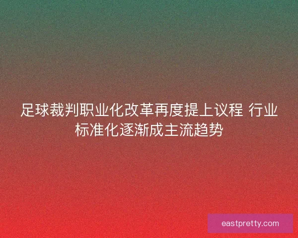 足球裁判职业化改革再度提上议程 行业标准化逐渐成主流趋势